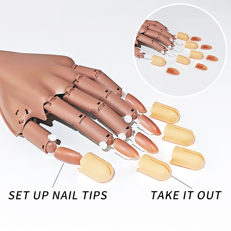 مسمار وهمية ممارسة اليد المنقو - مراجعة Nail Art Vector وسعره